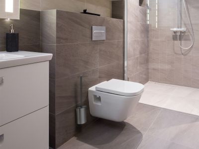 Sana Toilet Brush Brushed Steel